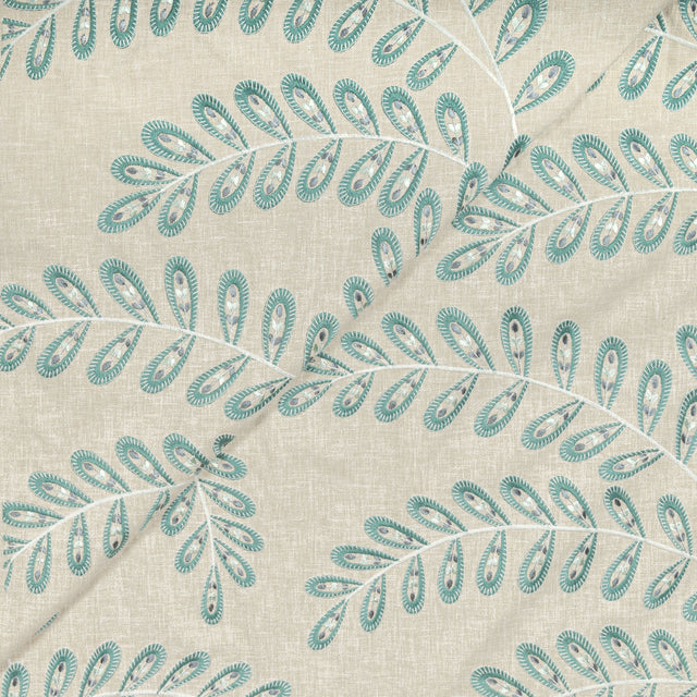 Conifer 1