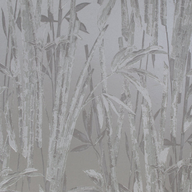 22122 Silver